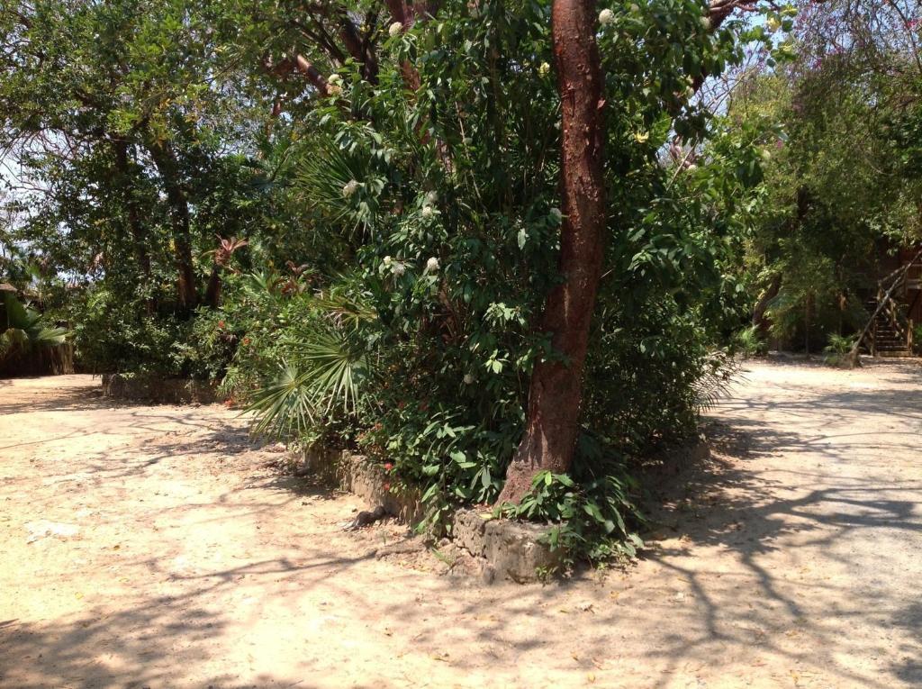 Half Moon Resort (Adults Only) West End Luaran gambar