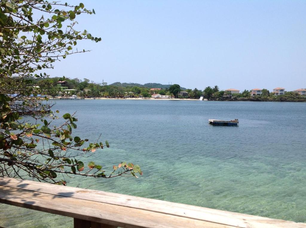 Half Moon Resort (Adults Only) West End Luaran gambar